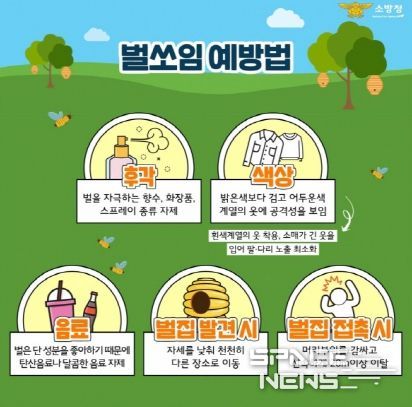 천안서북소방서, 벌초 시기 벌 쏘임 사고 주의 당부