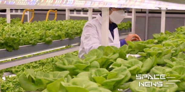 2025년 지역자활센터 성과 및  지역특화사업 평가‘우수기관’선정