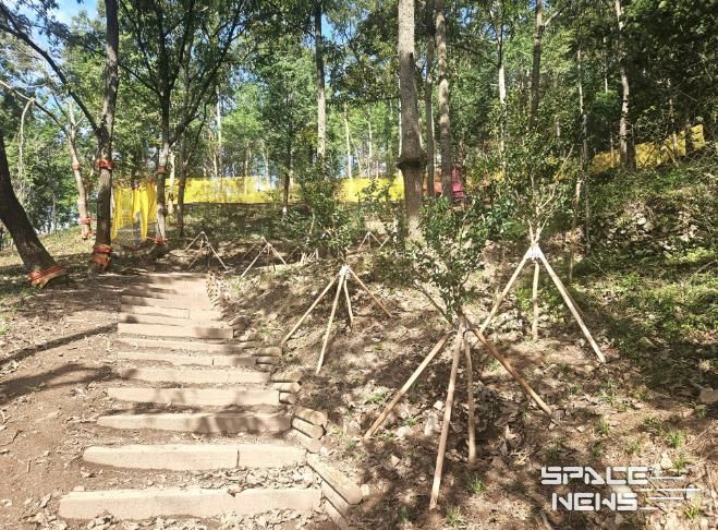강진군 산림공원 내 어린이 밧줄 체험시설