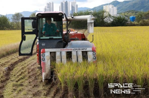 직접 콤바인 몰며 농민들과 현장 점검 하는 박영기 의장