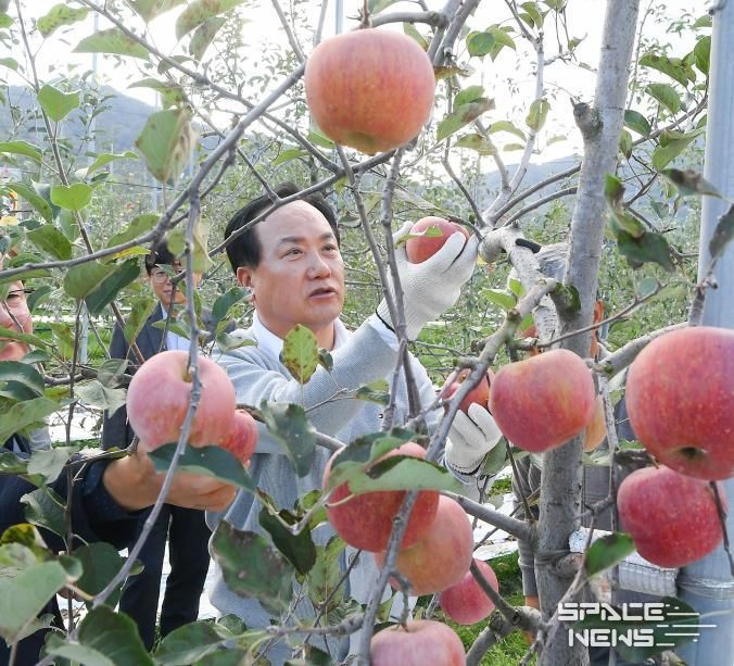 오산시, 자매도시 장수군서 ‘오산시민 장수 사과따기 체험행사’ 성황리 개최