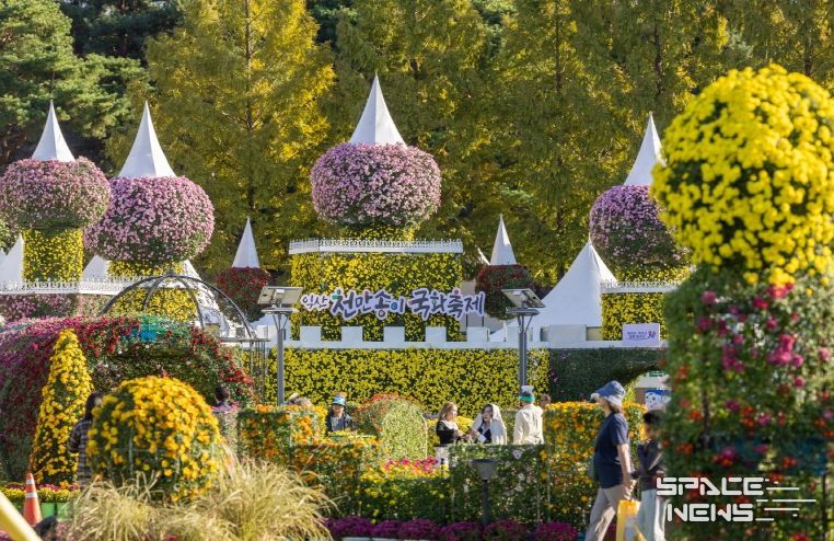 전국을 물들인 익산 천만송이 국화축제 대흥행
