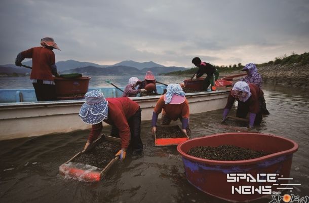광양시, 세계중요농업유산 등재‧