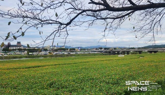 경주시 형산강변