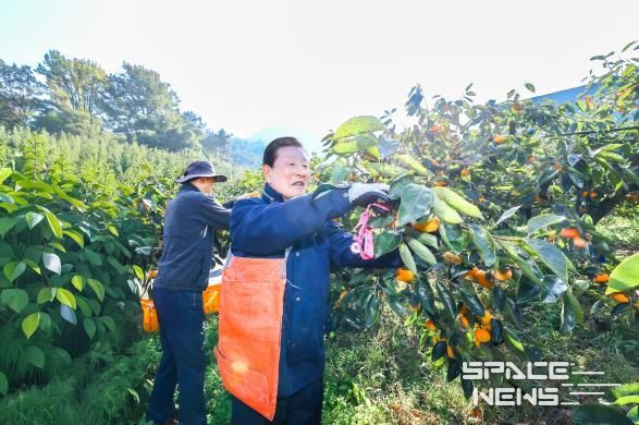 함안군, 가을철 농촌일손돕기 나서