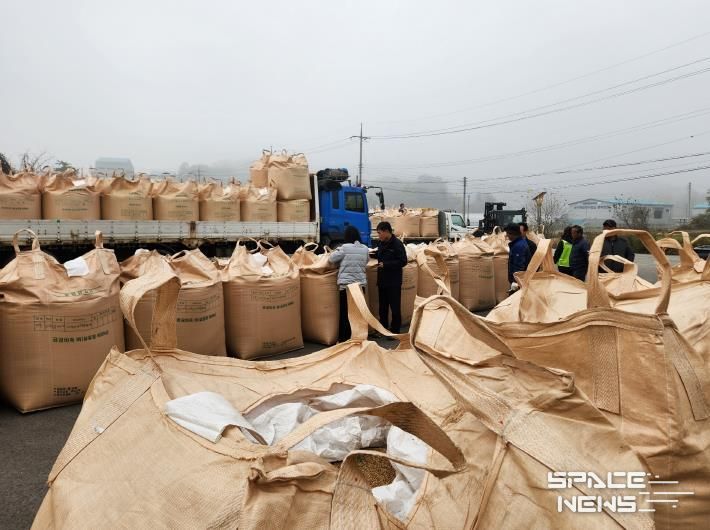 세종시, 2025년산 공공비축미곡 건조벼 1,630t 매입