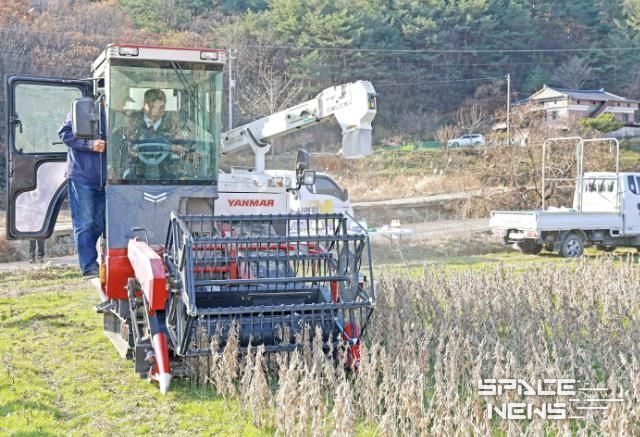 이승화 산청군수, 논콩 재배단지 현장 점검