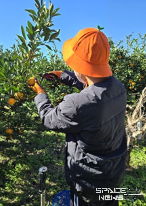 마음치유 프로그램