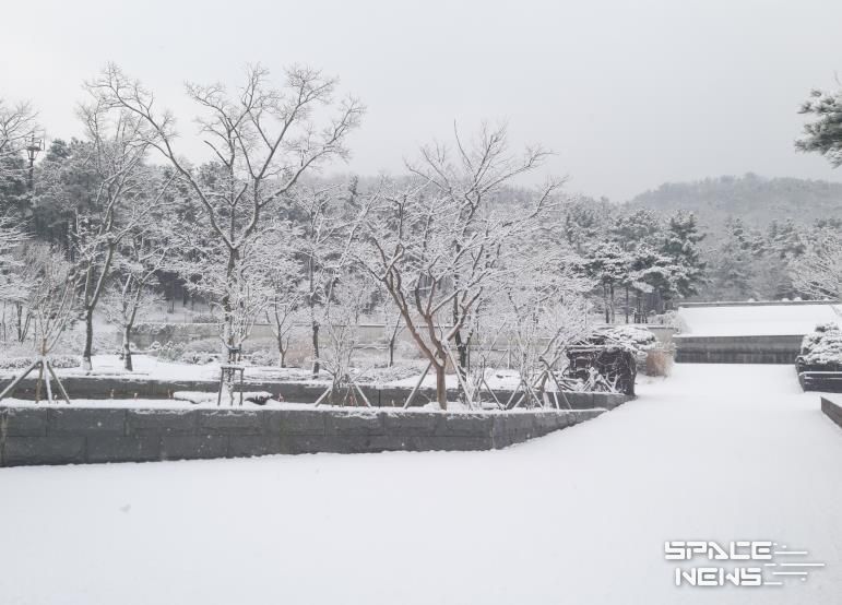 수목원의 설경