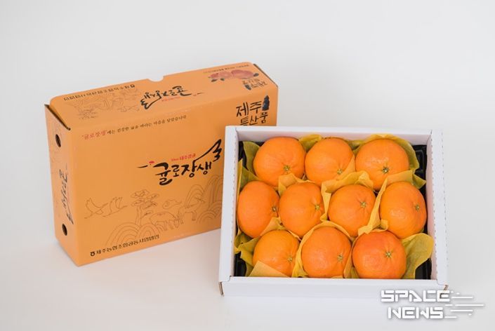 제주시 만감류 설 선물세트