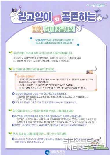 계양구, 길고양이 중성화 수술(TNR) 지원사업 추진