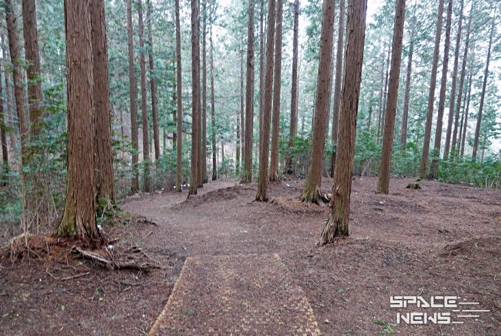 고창치유의숲(출처_마케팅센터)