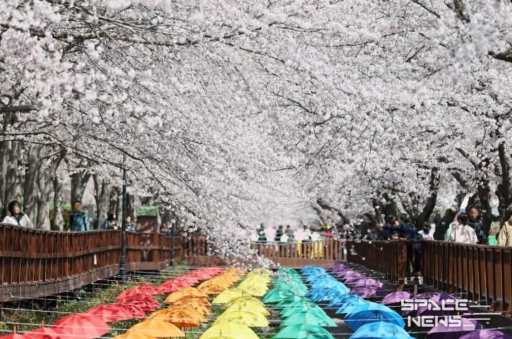 벚꽃으로 물든 제64회 진해군항제, 10일간의 여정 마무리
