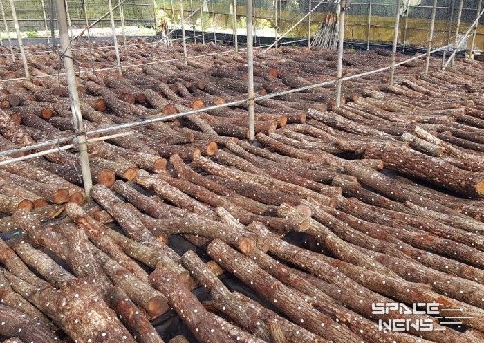 산림소득분야 보조사업